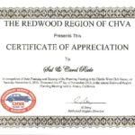 Certificate 11